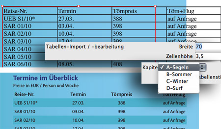 Tabellen (oben: Norale Platzierung des RTFs, unten: Nach Import und Bearbeitung mit dem ImportScript)